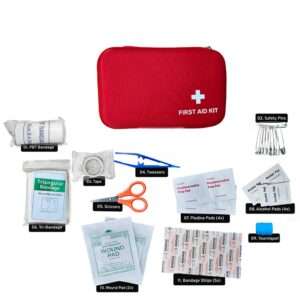 Aid-IIT (Red)