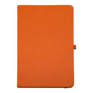 Ogle - Orange