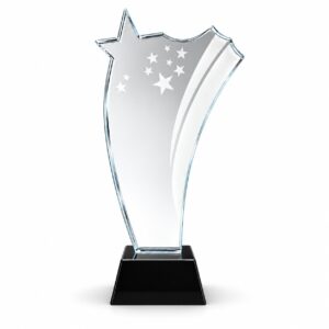 Shooting Star Crystal Achievement Award